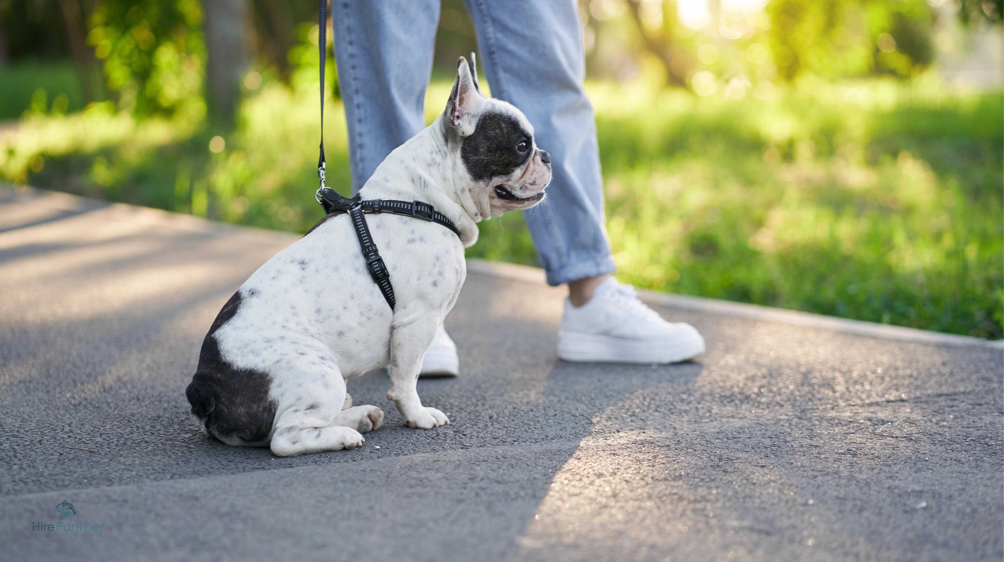 Freelance event planning and entertainment gigs Professional event planning services